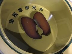 -上海昆虫博物馆