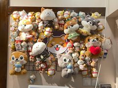 -逗柴咖啡屋·狗咖猫咖宠物桌游
