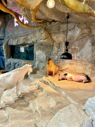 -Zoolung Zoolung动物主题公园(海信广场店)