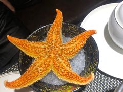 -福禧荟·海鲜自助