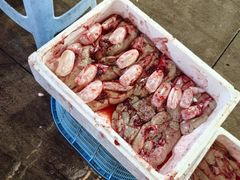 -岳各庄批发市场(西四环中路店)