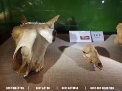 -辽宁古生物博物馆