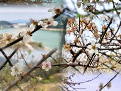 -广州市流溪河国家森林公园