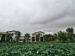 -三圣花乡旅游区