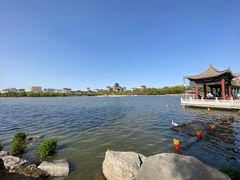 -莲花池公园