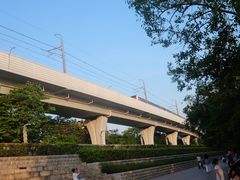 -宝安西湾红树林湿地公园