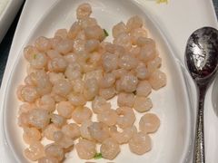 -新雅粤菜馆(南京东路店)