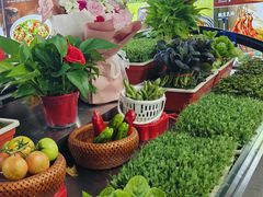 -小秦淮·南京土菜(新亭西路店)