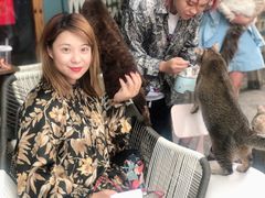 -喵屿·大理花园猫咖