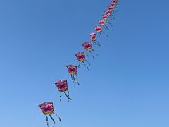 -中国天府农业博览园