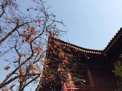 -魏家凉皮(博水商务大厦店)