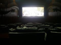 -天幕新彩云国际影城(激光巨幕店)