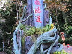 -东莞市大岭山森林公园