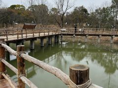-河姆渡遗址博物馆