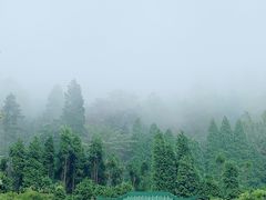 -庐山风景区花径公园
