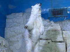 -大连老虎滩海洋公园