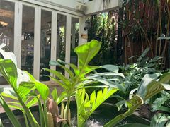 -Fern Forest Cafe