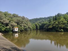 -滴水岩森林公园