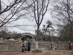 -上海海湾国家森林公园