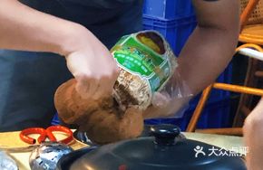 Fresh Ganoderma