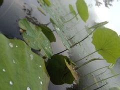 -成都中医药大学(温江校区)