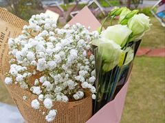 -三圣花乡旅游区