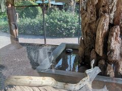 -野象谷景区