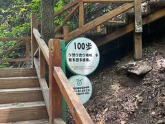 -大岭沟猕猴桃谷风景区