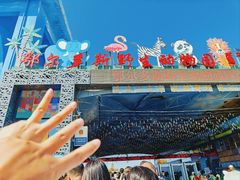 -鄂尔多斯野生动物园