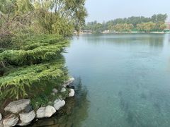 -百脉泉景区