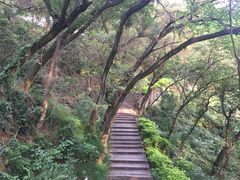 -金鸡山公园