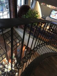 -Cocodemer 产后恢复中心(多伦路店)