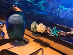 -迪拜帆船酒店海底餐厅