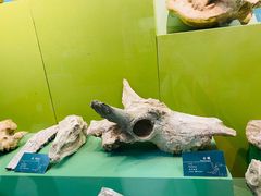 -甘肃省博物馆