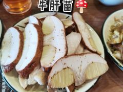 -杨记山珍鸡煲菌汤锅