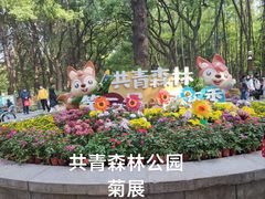 -上海共青森林公园
