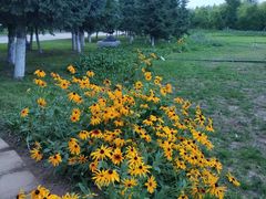 -长春世界雕塑园冰雪艺术天地