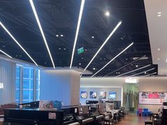 -知音艺术教育培训·钢琴培训·音乐培训(河西金鹰世界校区)