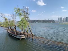 -洱海月湿地公园