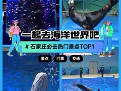 -石家庄极地海洋世界