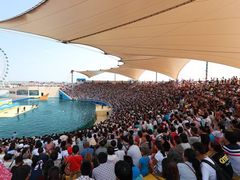 -秦皇岛乐岛海洋王国