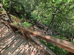 -大岭沟猕猴桃谷风景区