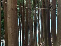 -太阳湾风景区