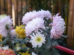 -上海大学（宝山校区）-图书馆