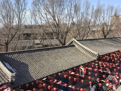 -爱新觉罗皇家博物院