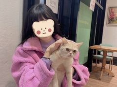 -猫色咖啡·猫咖