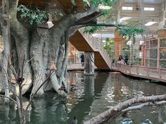 -南宫五洲植物乐园