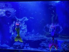 -多彩贵州城极地海洋世界