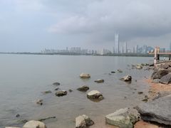 -深圳湾公园(南山区)