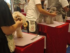 -深圳龙华星河COCO City(民治店)